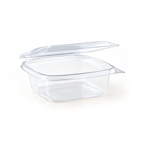 Square Containers with Hinged Lid