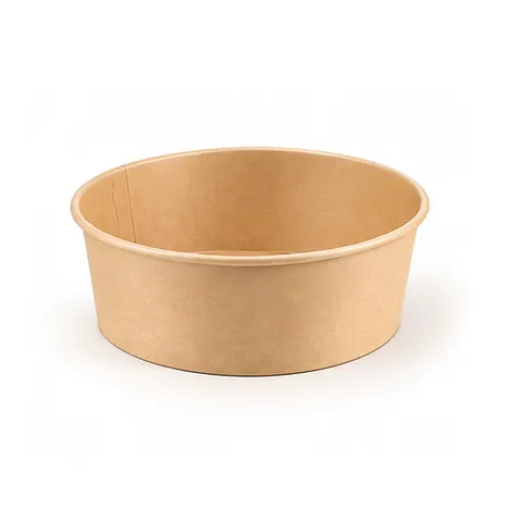 Salad Bowls with Separate Lid